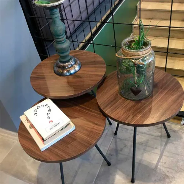 Журнальный столик Dogtas Lena 3200383327 Коричневый photo 4