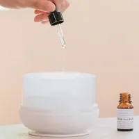 Umidificator de aer Diffuser M30 Cu ultrasunet/ White photo 7