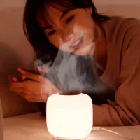 Umidificator de aer Diffuser M30 Cu ultrasunet/ White photo 8