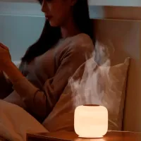 Umidificator de aer Diffuser M30 Cu ultrasunet/ White photo 10