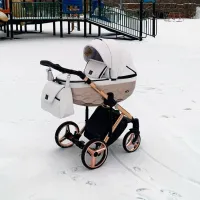 Детская коляска Adamex Chantal Star STAR-106/ Белый photo 6