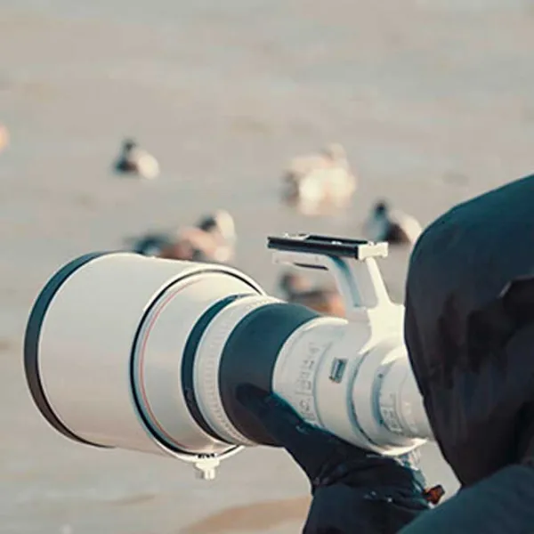 Объектив Canon RF 800mm f/ 5.6 L IS USM Черный photo 5