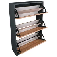 Обувной шкаф Bofigo 3D 5663510 110 x 73.6 x 24см /Anthracite /Сосна photo 2