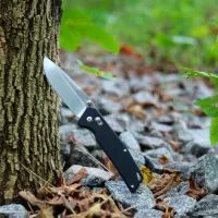 Нож Ganzo Firebird FB7601-BK карманный/ 440C photo 4