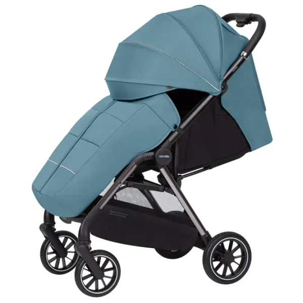 Cărucior pentru copil Carrello Delta 2023 1058013-5/ Blue photo 2