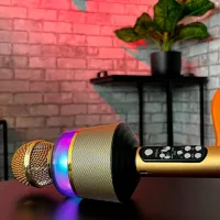 Микрофон N-Gear Star Mic 100 Золото photo 3
