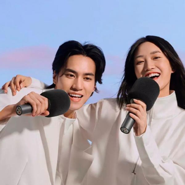 Микрофон Xiaomi BHR6752GL Grey photo 5