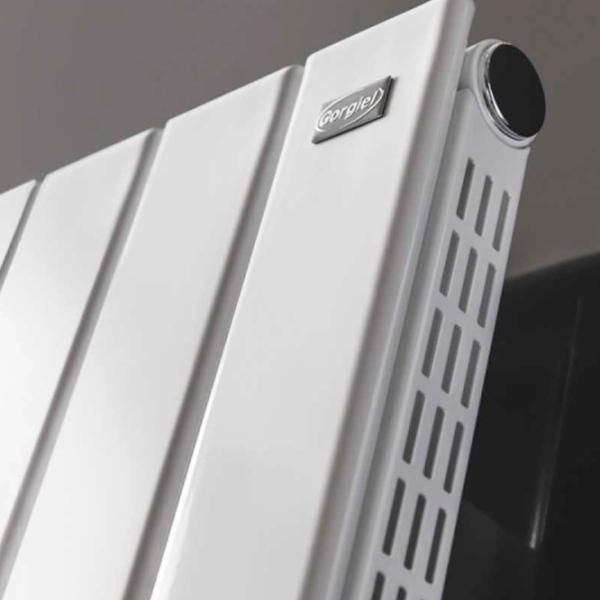 Radiator panou Gorgiel Altus VV AVV2 Oțel photo 2