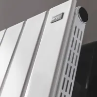 Панельный радиатор Gorgiel Altus VV AVV2 Cталь photo 2