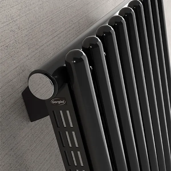 Radiator panou Gorgiel Cezar AD1 Oțel photo 5