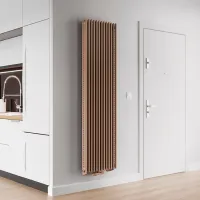 Radiator panou Gorgiel Cezar AD2 Oțel photo 4