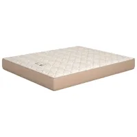 Saltea ortopedică ML-Mobila Beige plus 80 x 180 cm Înălțimea saltelei: 20 cm photo 2