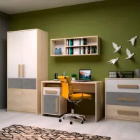 Dulap Linear Sokme Aigo AG6 2D 83.1 x 53.5 x 192 / PAL / Fag artisan photo 2