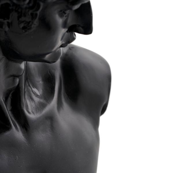 Obiect decorativ Dogtas Davut Bust Poliester photo 2