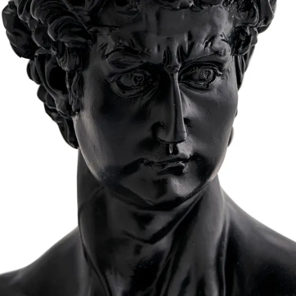 Obiect decorativ Dogtas Davut Bust Poliester photo 3