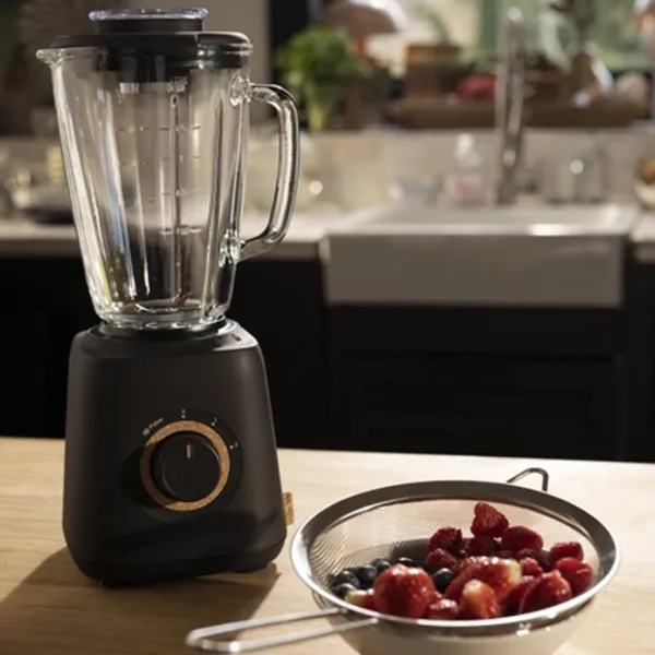 Blender staționar Tefal BL46EN38 Black photo 8