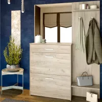 Шкаф для прихожей Sokme Денвер ДСП/ Gray Craft Oak photo 3