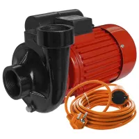 Pompă de suprăfață Raider RD-2DK20 1500 W 3000 l/ h photo 2