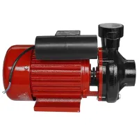 Pompă de suprăfață Raider RD-2DK20 1500 W 3000 l/ h photo 3