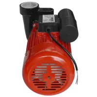 Pompă de suprăfață Raider RD-2DK20 1500 W 3000 l/ h photo 5