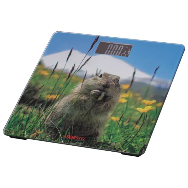 Cântar de podea Ardesto SCB-965MARMOT 150 kg/ Multicolor photo 2