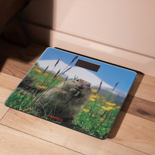 Cântar de podea Ardesto SCB-965MARMOT 150 kg/ Multicolor photo 5
