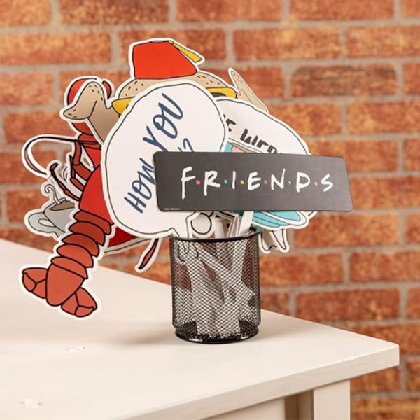 Accesorii pentru cabina foto Paladone Friends PP8096FR 6+/ Multicolor Multicolor photo 4