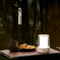 Лампа Xiaomi BHR7349GL Белый photo 8