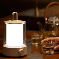 Лампа Xiaomi BHR7349GL Белый photo 12