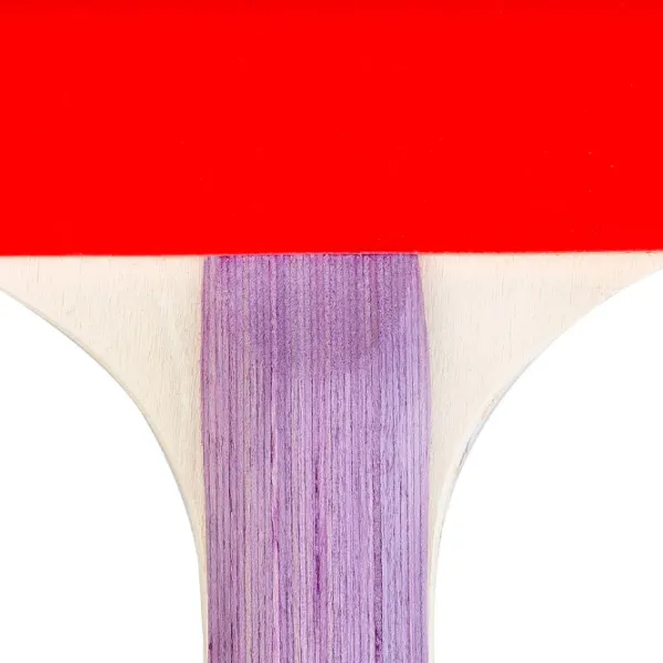Paletă Spokey Smash Set Pentru tenis de masă/ Concav/ Cauciuc photo 5 Paletă Spokey Smash Set Pentru tenis de masă/ Concav/ Cauciuc photo 5
