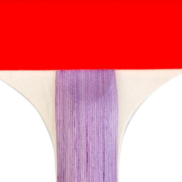 Paletă Spokey Smash Set Pentru tenis de masă/ Concav/ Cauciuc photo 5 Paletă Spokey Smash Set Pentru tenis de masă/ Concav/ Cauciuc photo 5
