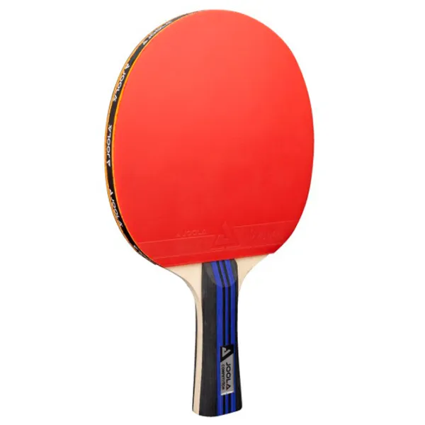 Set de palete Joola Family Advanced Pentru tenis de masă / Concav / Cauciuc photo 3