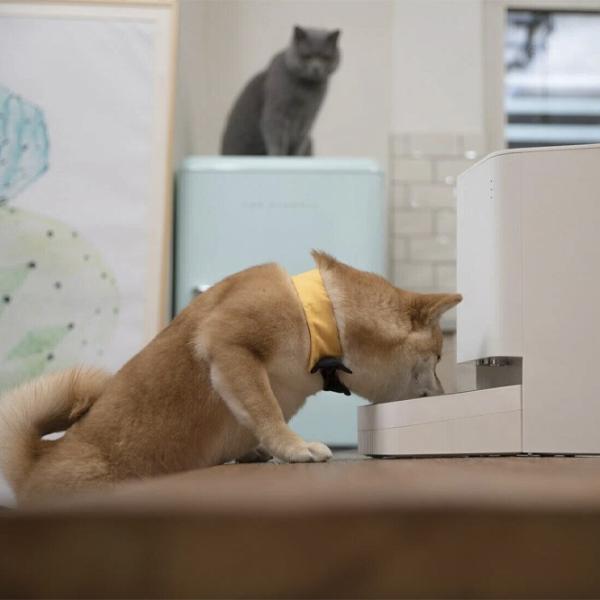 Умная кормушка для животных Xiaomi Smart Pet Food Feeder нерж. сталь photo 7