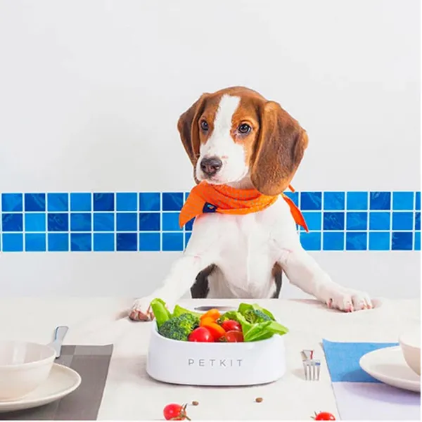 Умная кормушка для животных Xiaomi Petkit P510 Пластик photo 4