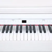 Цифровой пиан Flame SLP150WH Акустический / 88 клавиш / Split / Белый photo 6