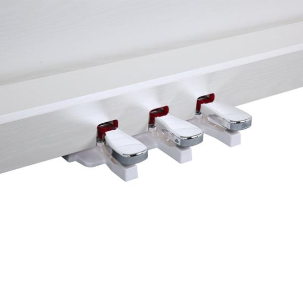 Цифровой пиан Flame SLP150WH Акустический / 88 клавиш / Split / Белый photo 8