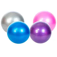 Fitball YINGLANG Profit 55cm 55 cm/ Multicolor photo 2