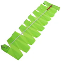 Panglică pentru gimnastică Arena 880856 Green/ 6 m/ Pentru ea photo 2