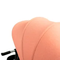 Triciclu Toyz Dush 25 kg/ Pink photo 6