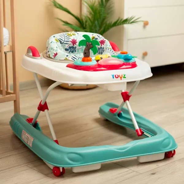 Ходунки Toyz Blossom (2070) Классический/ Зелёный photo 6
