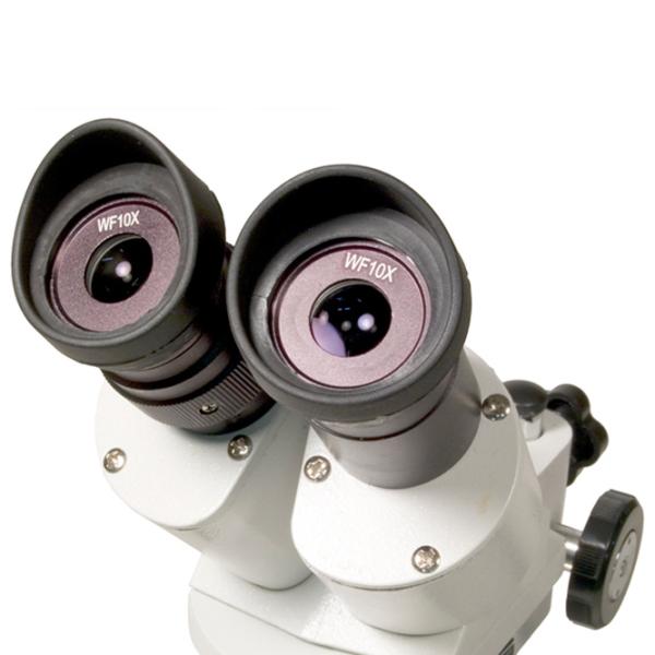 Microscop Levenhuk 3ST Stereoscopic/ White photo 3