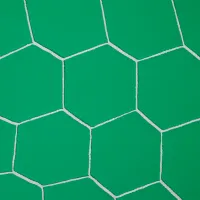 Plasă pentru fotbal Arena 88282 Nylon/ pentru fotbal photo 3