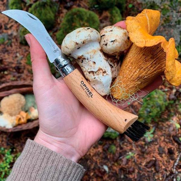 Нож Opinel Mushroom Nr. 8 Oak для грибов/ Sandvik 12C27 photo 5 Нож Opinel Mushroom Nr. 8 Oak для грибов/ Sandvik 12C27 photo 5
