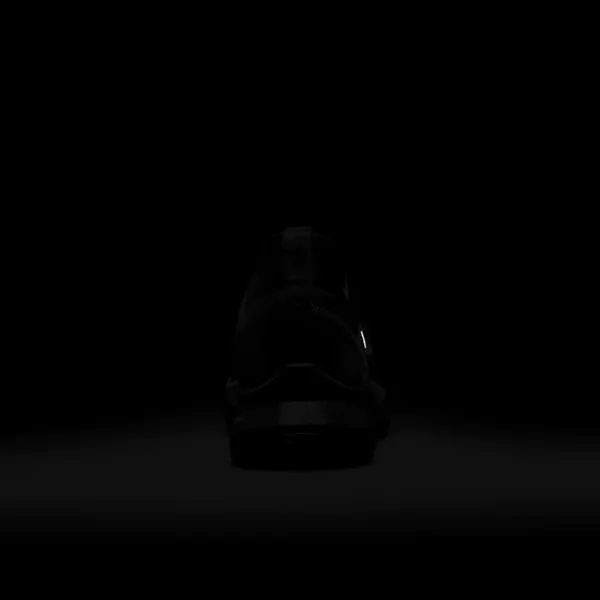 Adidași pentru bărbați Nike Pegasus Trail 4 GORE-TEX 42.5/ Black photo 12