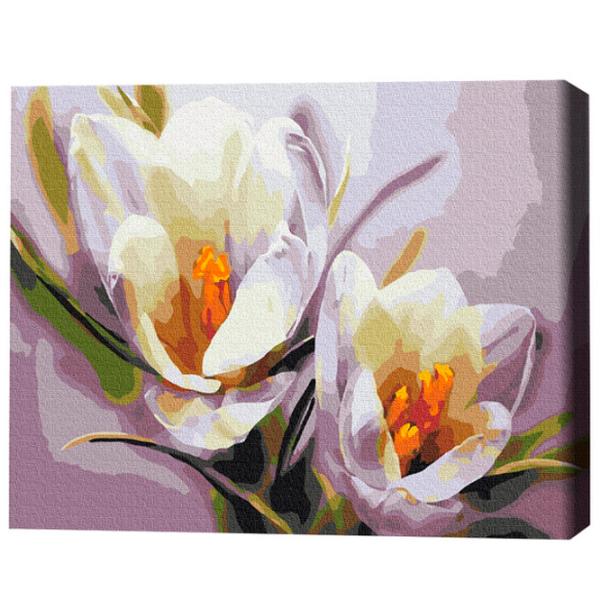 Pictură pe numere BrushMe Crocuși 50 x 40 cm/ Orizontală photo 3 Pictură pe numere BrushMe Crocuși 50 x 40 cm/ Orizontală photo 3