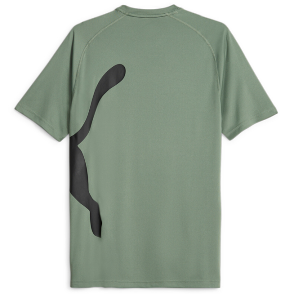 Tricou pentru bărbați Puma Train All Day Big Cat Tee 100% poliester/ Eucalyptus photo 2