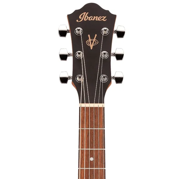 Chitară acustică Ibanez VC50NJP NT 4/ 4, Dreadnought, Natural photo 5