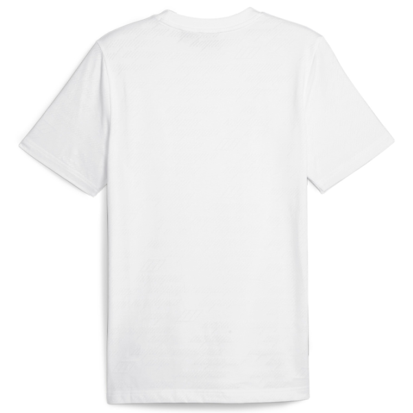 Футболка для мужчин Puma Bmw Mms Jacquard Tee 72% хлопок, 28% полиэстер/ Белый photo 2