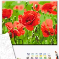 Картина по номерам BrushMe Красные маки 50 x 40 см/ Горизонтальная photo 2