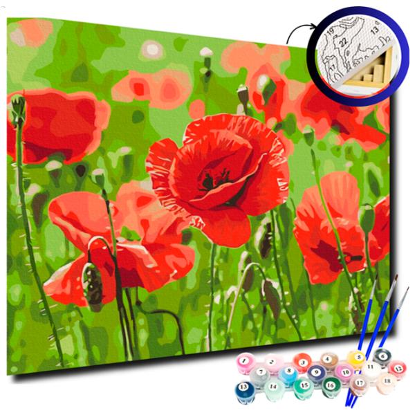 Картина по номерам BrushMe Красные маки 50 x 40 см/ Горизонтальная photo 3 Картина по номерам BrushMe Красные маки 50 x 40 см/ Горизонтальная photo 3